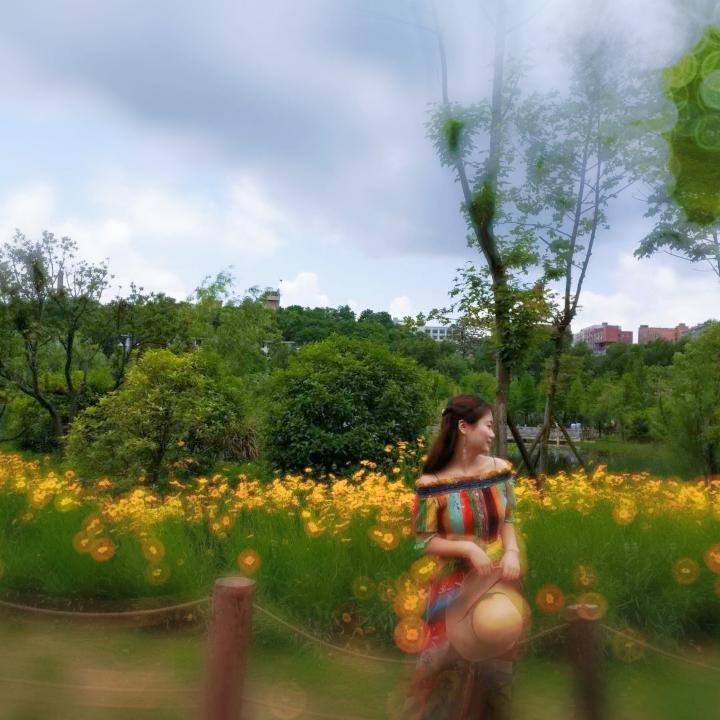 淡淡的 静静的