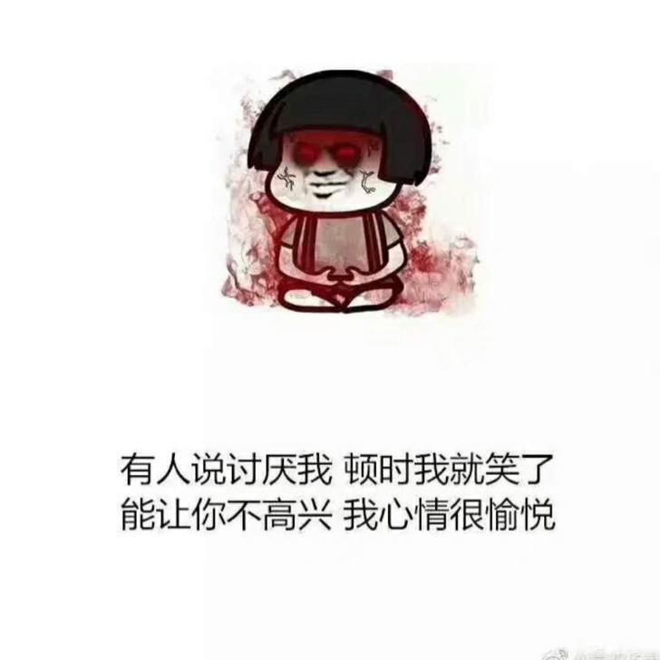 Y总