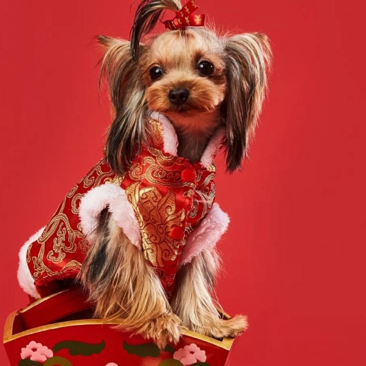 杨加明