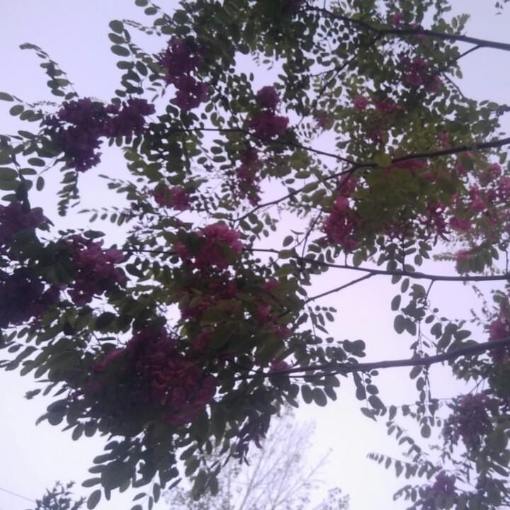 只配你拥有