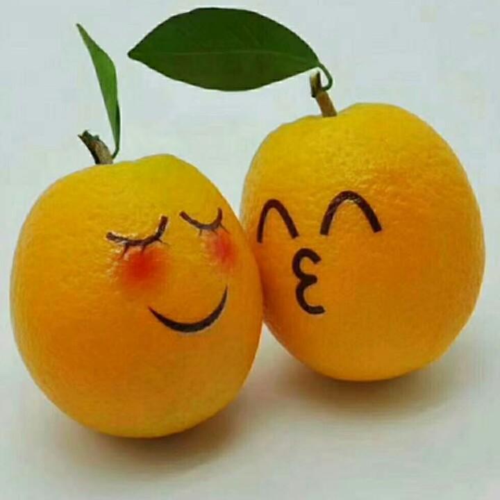 橙家菇凉
