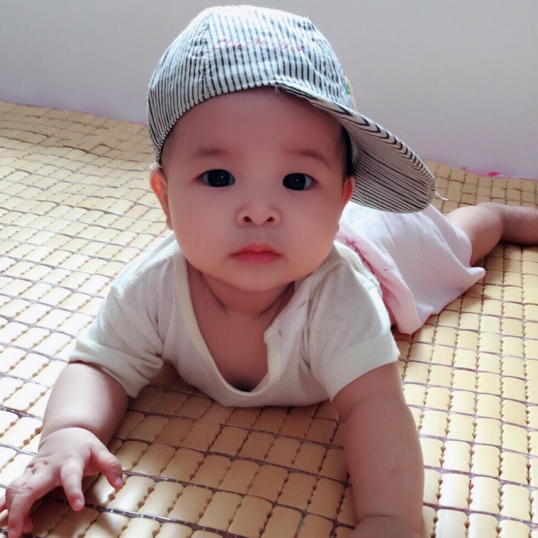 大碗饭的碗-聚财🔆