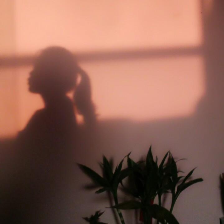 锦羲🌻向阳