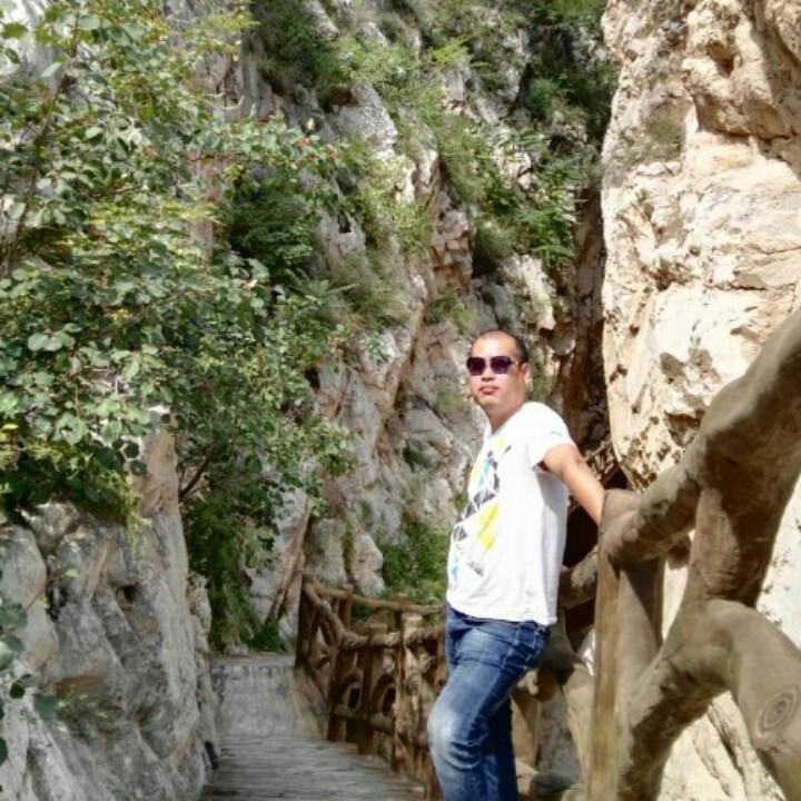 心有猛虎，细嗅蔷薇