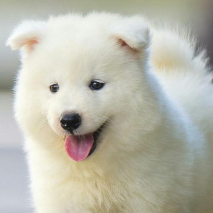 独恋你的美