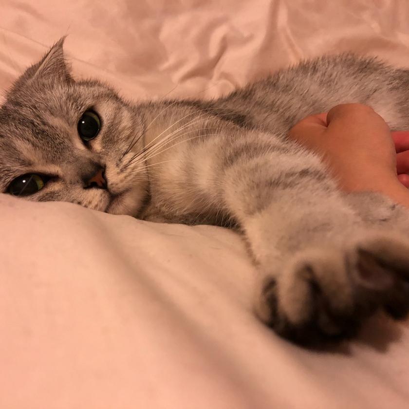 阳阳陪你看豪宅