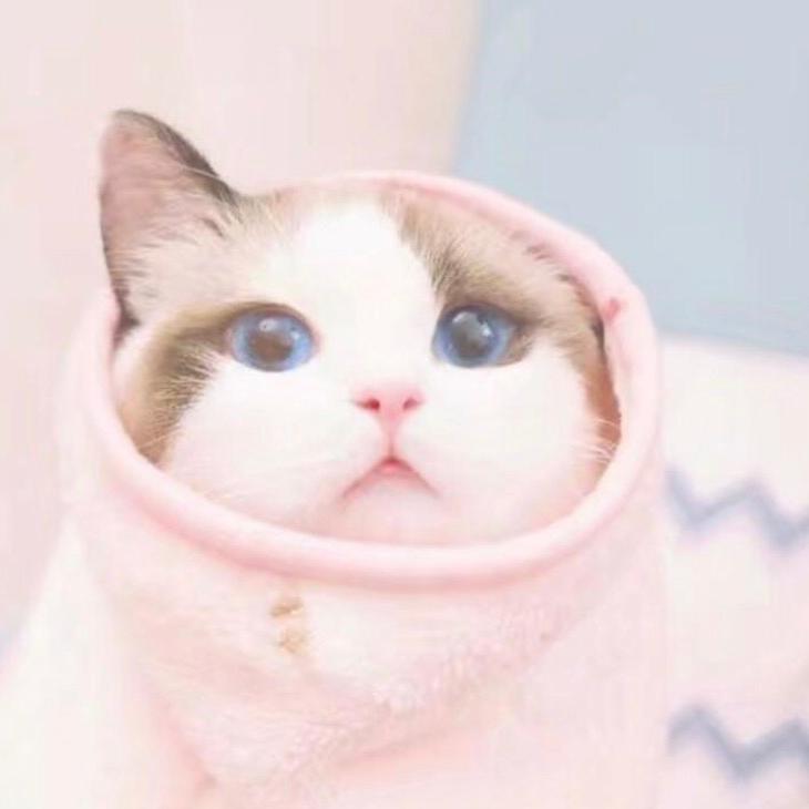 咯
