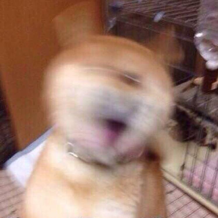 我就是不听你咬我啊