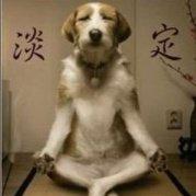 对酒当歌