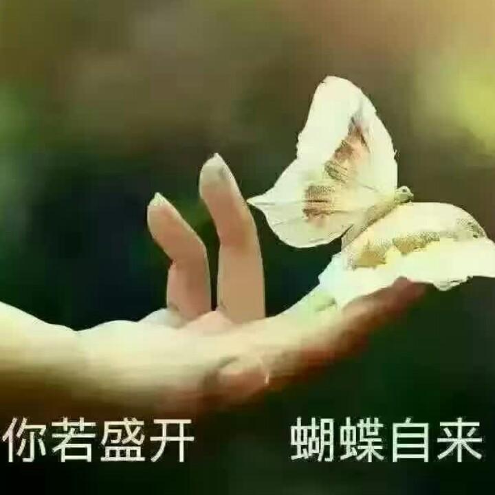 小辛来了👣
