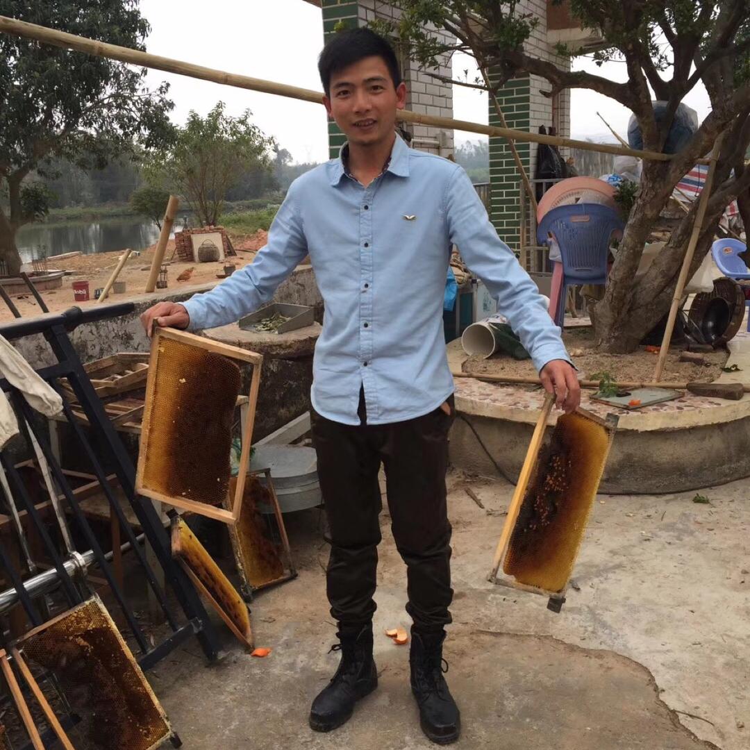 蜂狂小新