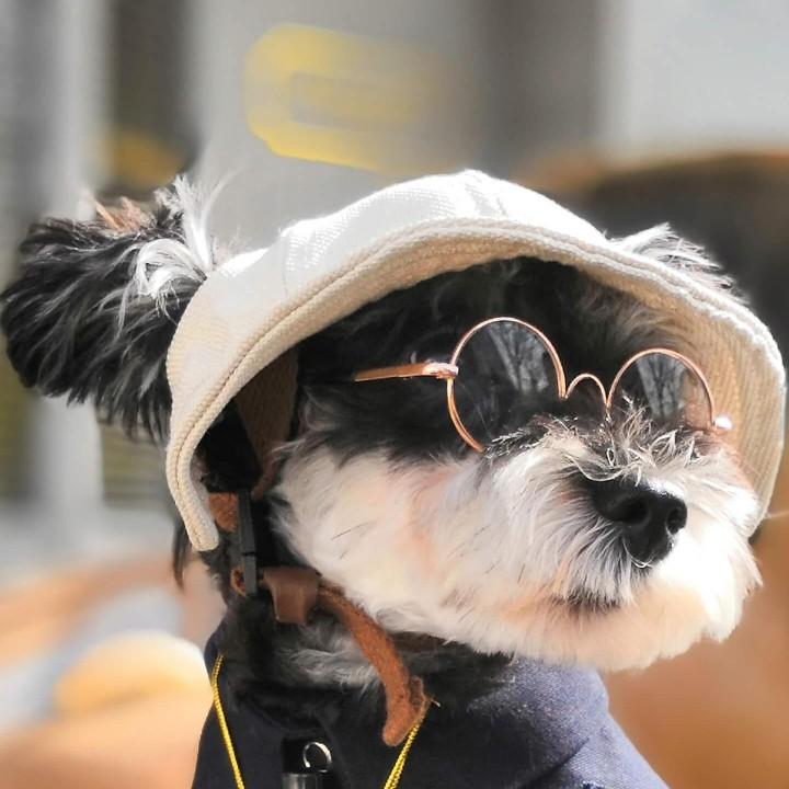 用心
