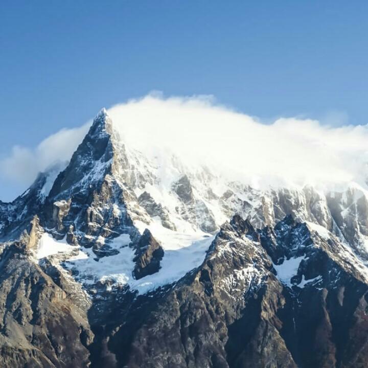 陈