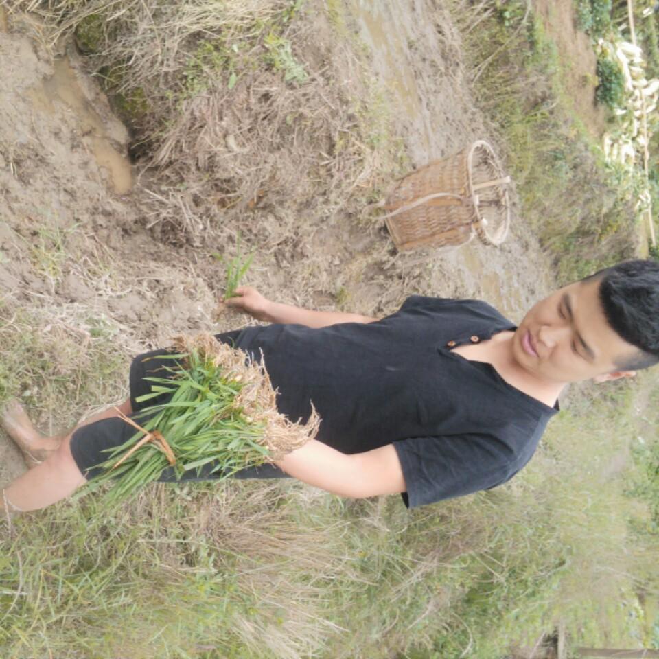 货运出租
