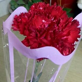 小芹