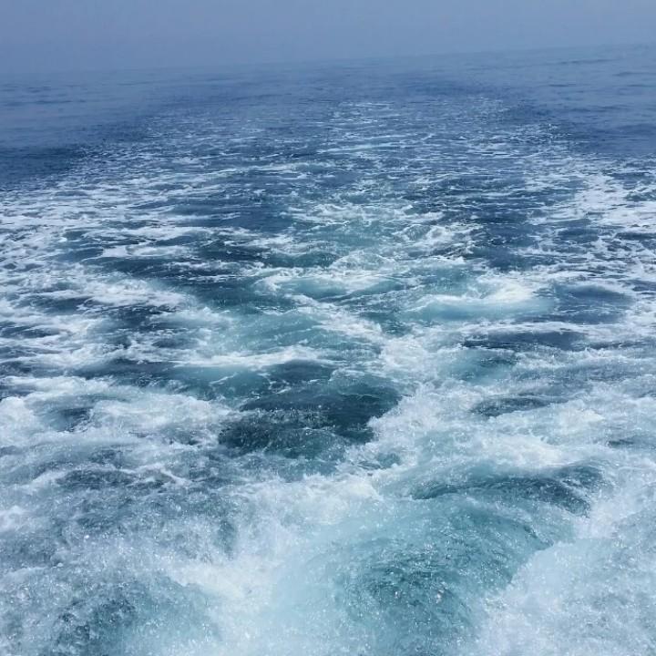 磊    磊