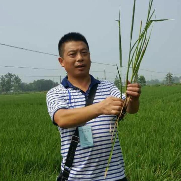 洪湖老周说农事