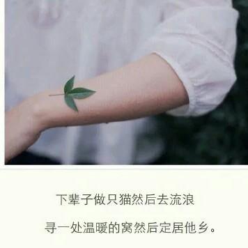终不似少年游