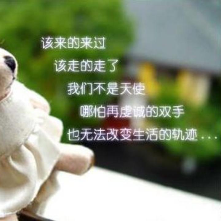 @叮叮