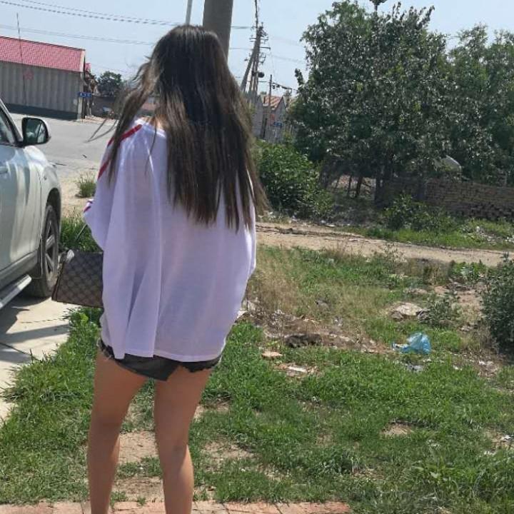 温暖的鸟巢