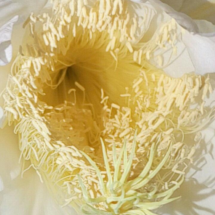 物着吕浪裂财气