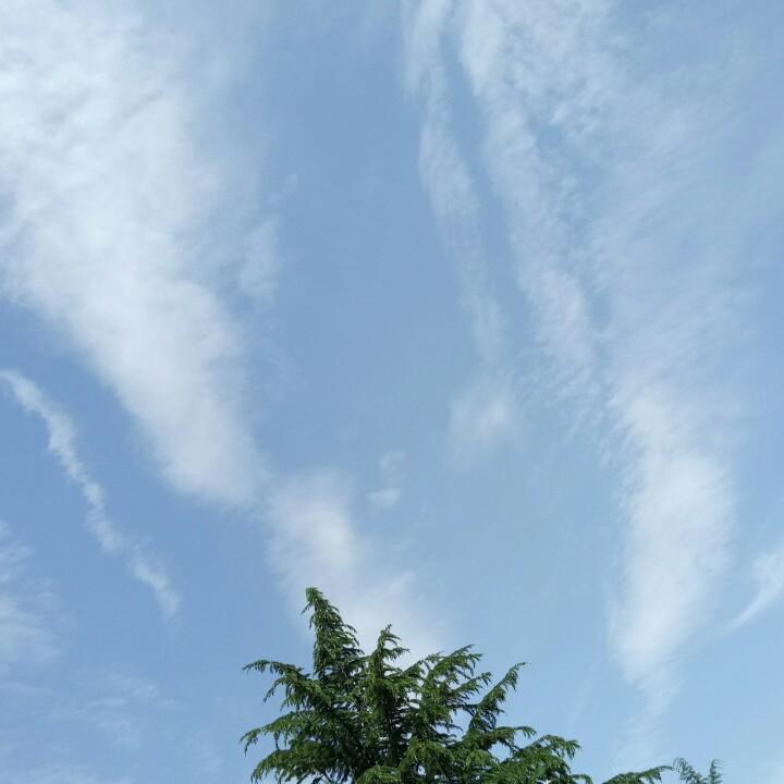 用户xyqlove
