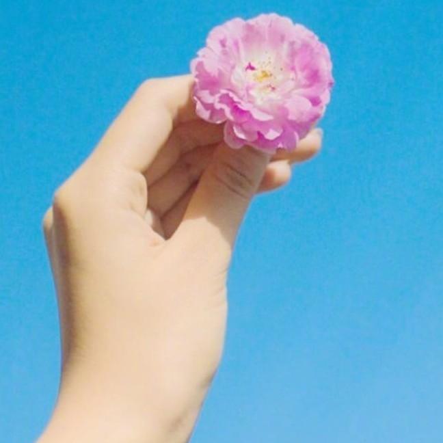 手中的玫瑰