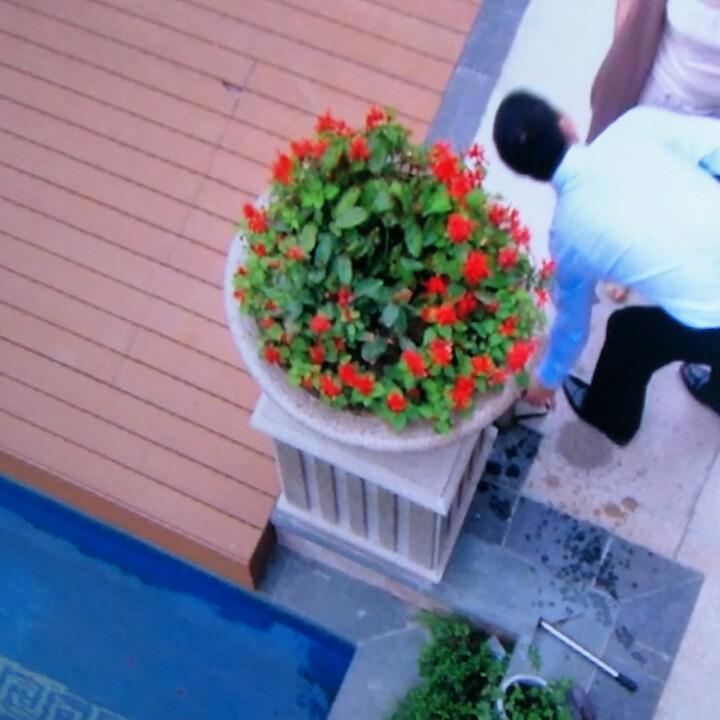 爱心不孤独