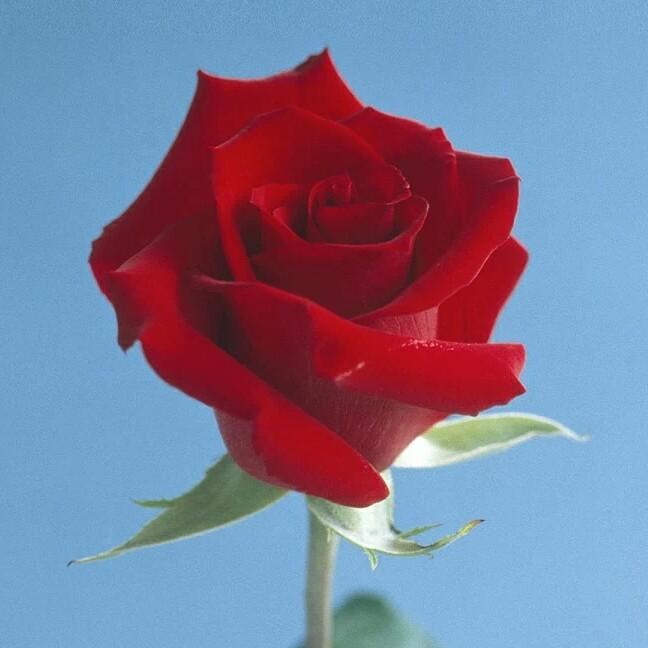 ❤