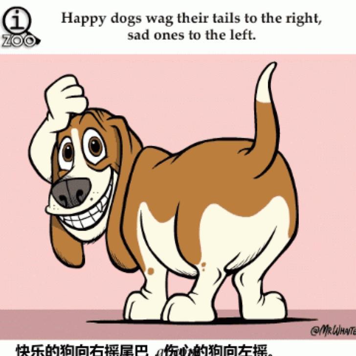 小仙乐园