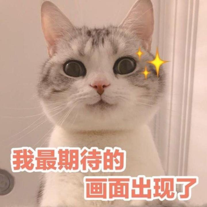 醒目