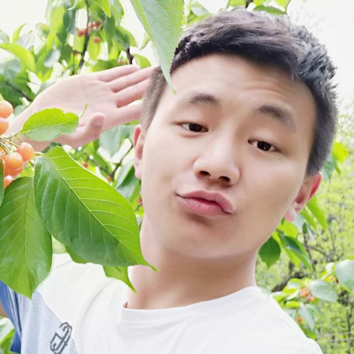 如果没有如果