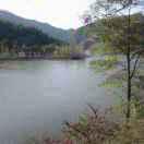 奋斗者(❁´◡`❁)*✲ﾟ*