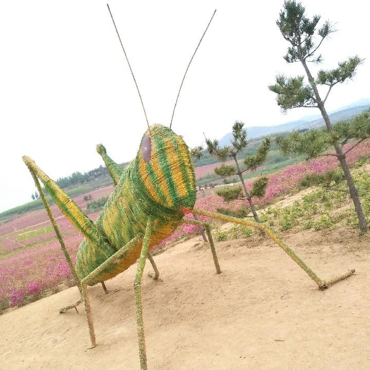 冰河