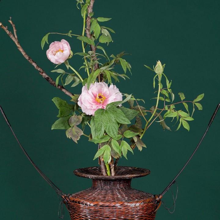 呦吼吼的小毛驴