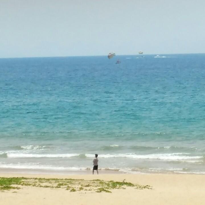 洲旺菌业刘波