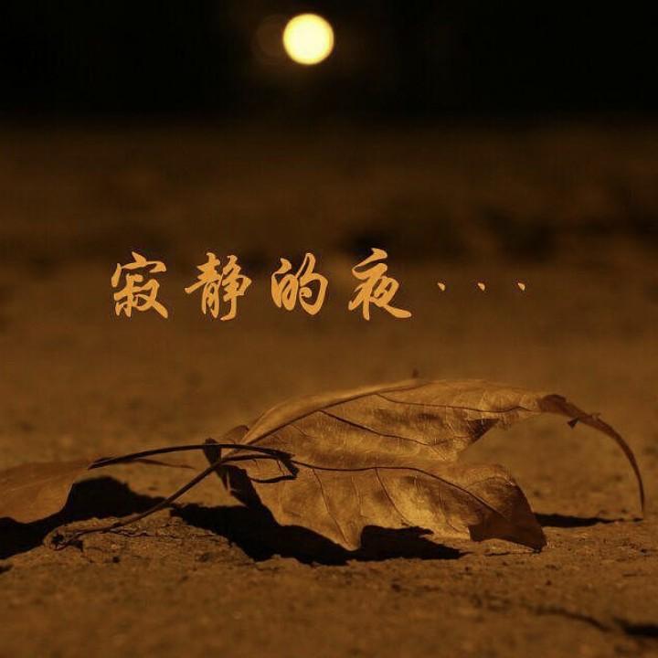 寂静的夜
