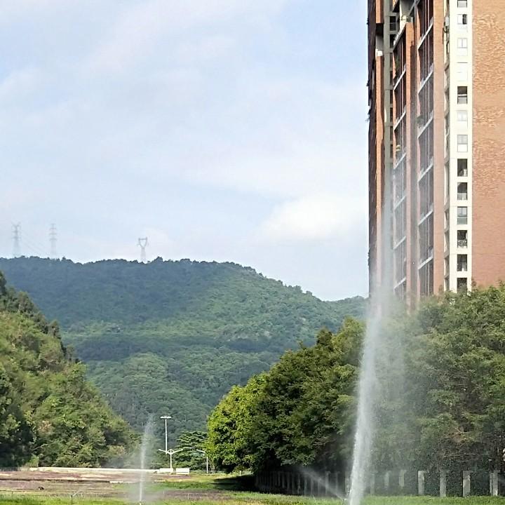 俊俊宝@