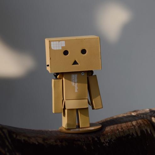 活动策划-小熊猫文化传媒