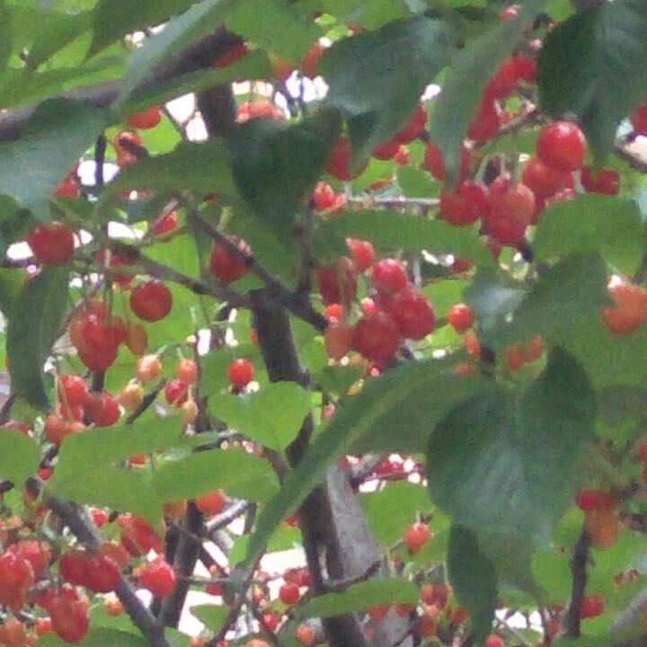 秋天