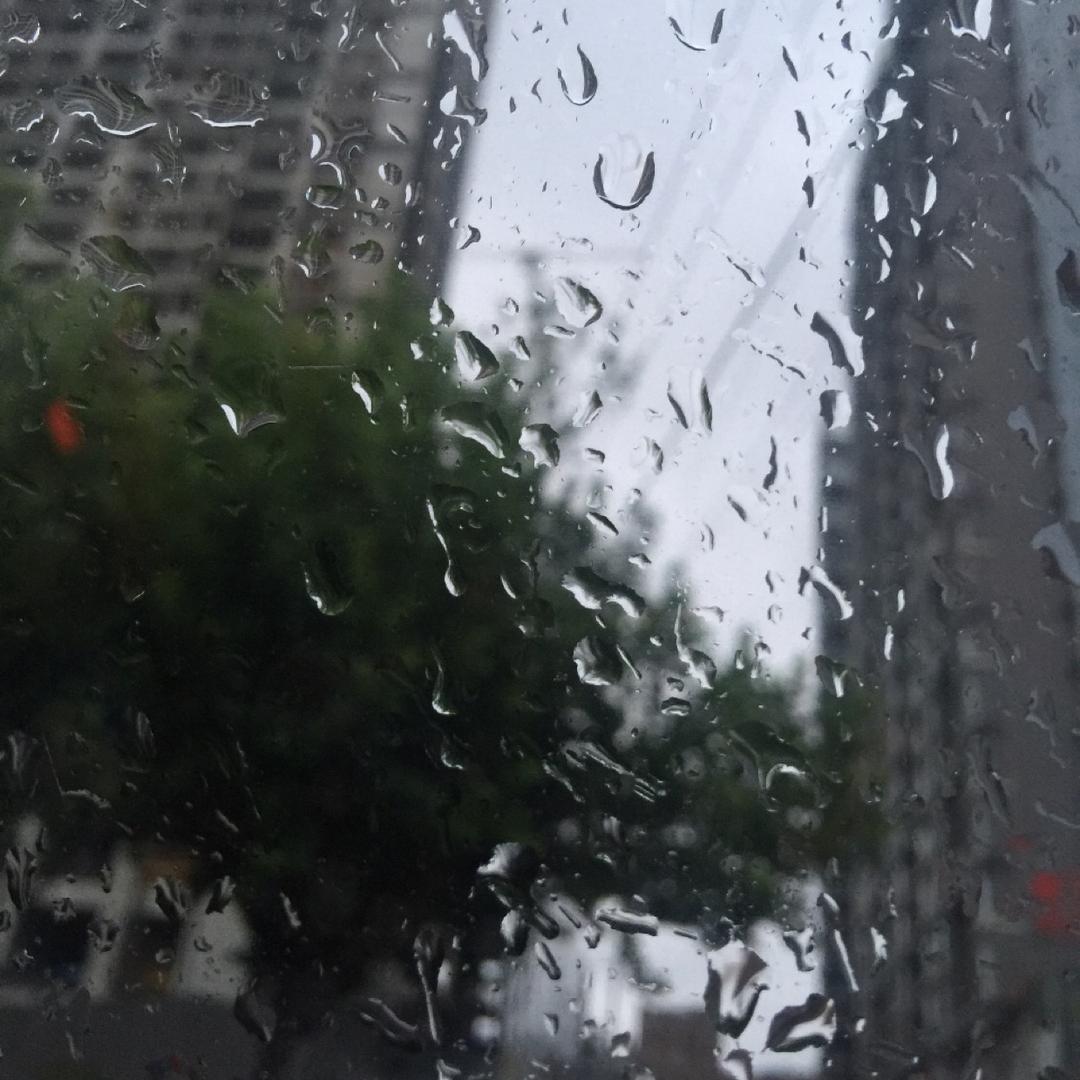 雨雨