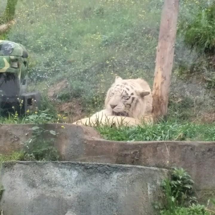 (´-ωก`)凡尘清心(❤ε❤)