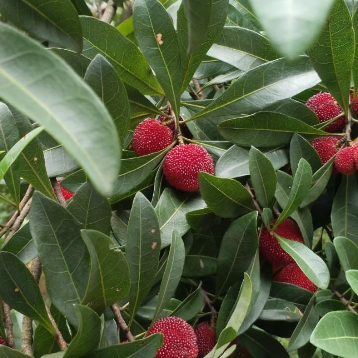 蓝色天空8521950409