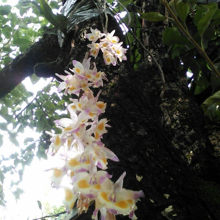 等风等雨不在等你