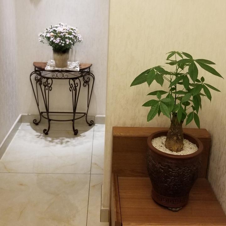 醉梦青春