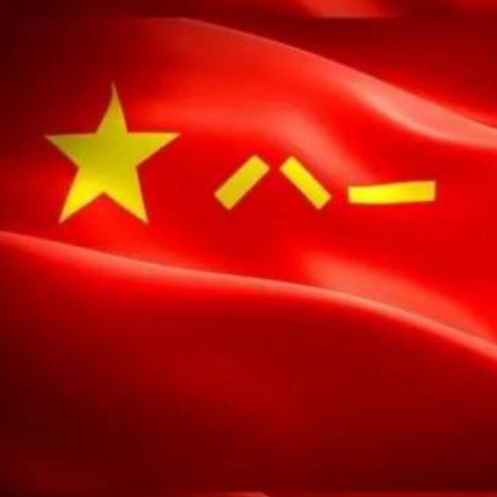 幸福满满的猪