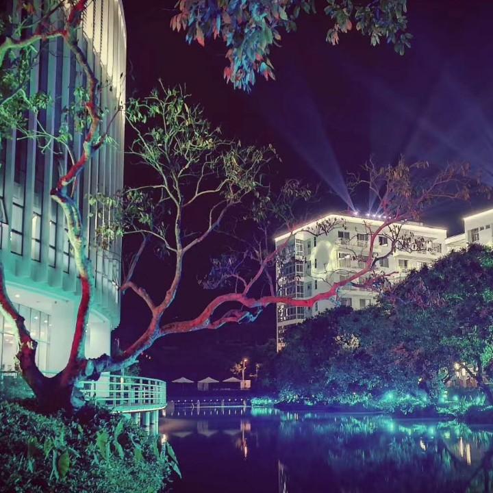 潘潘不迷路