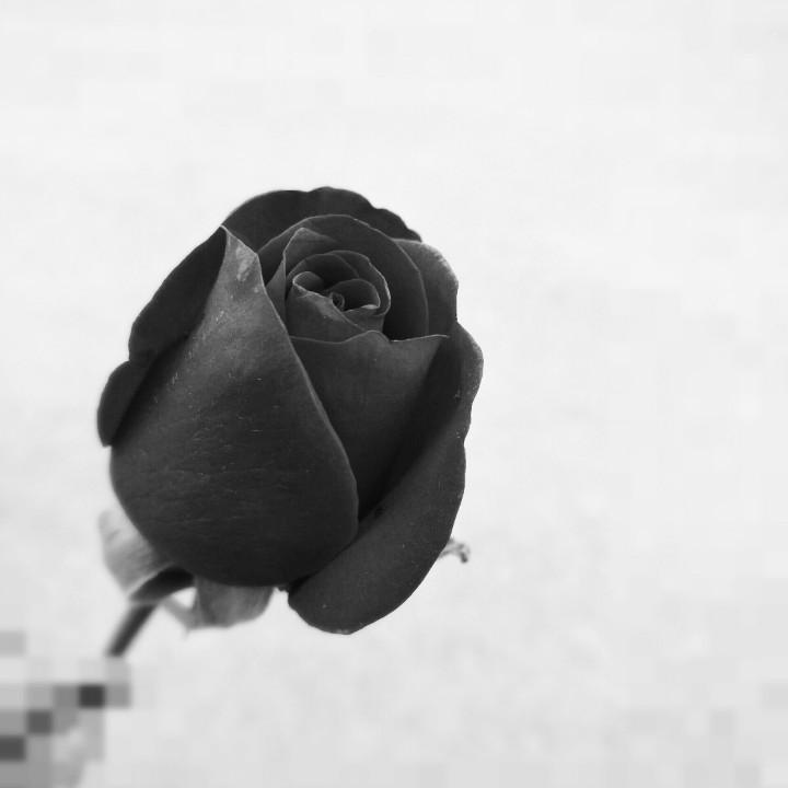 平凉市蜂巢地产