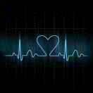 镇平县宠爱有家宠物用品馆