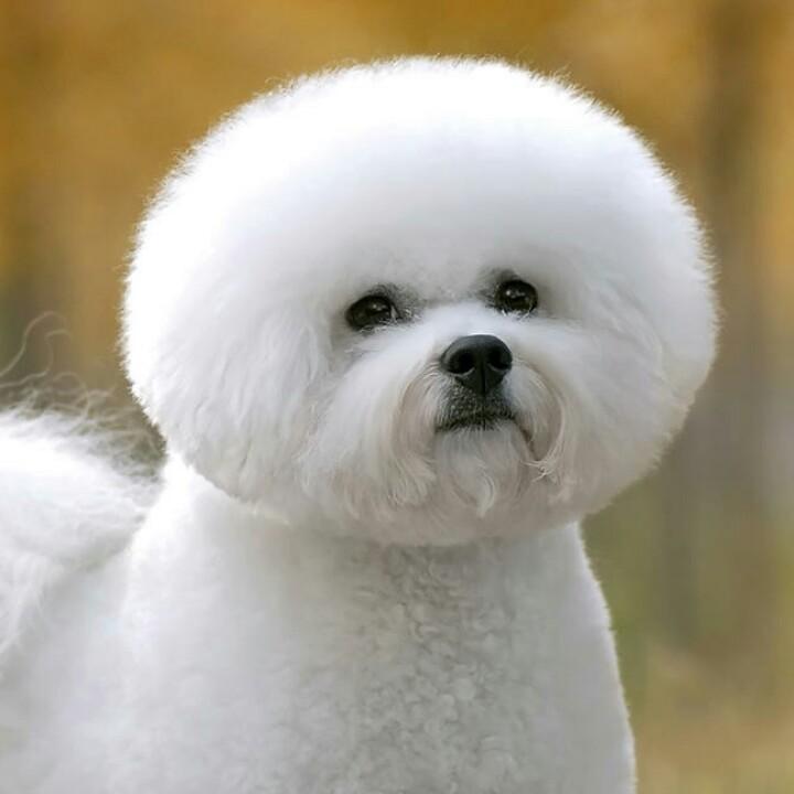 人生     梦一场